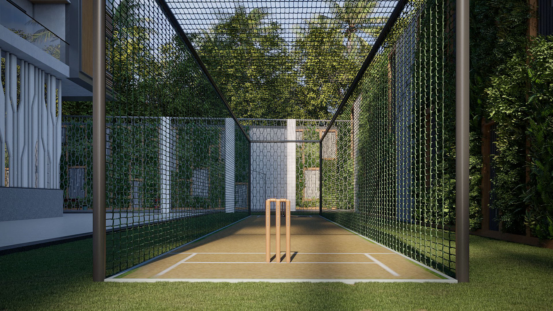Cricket Pitch